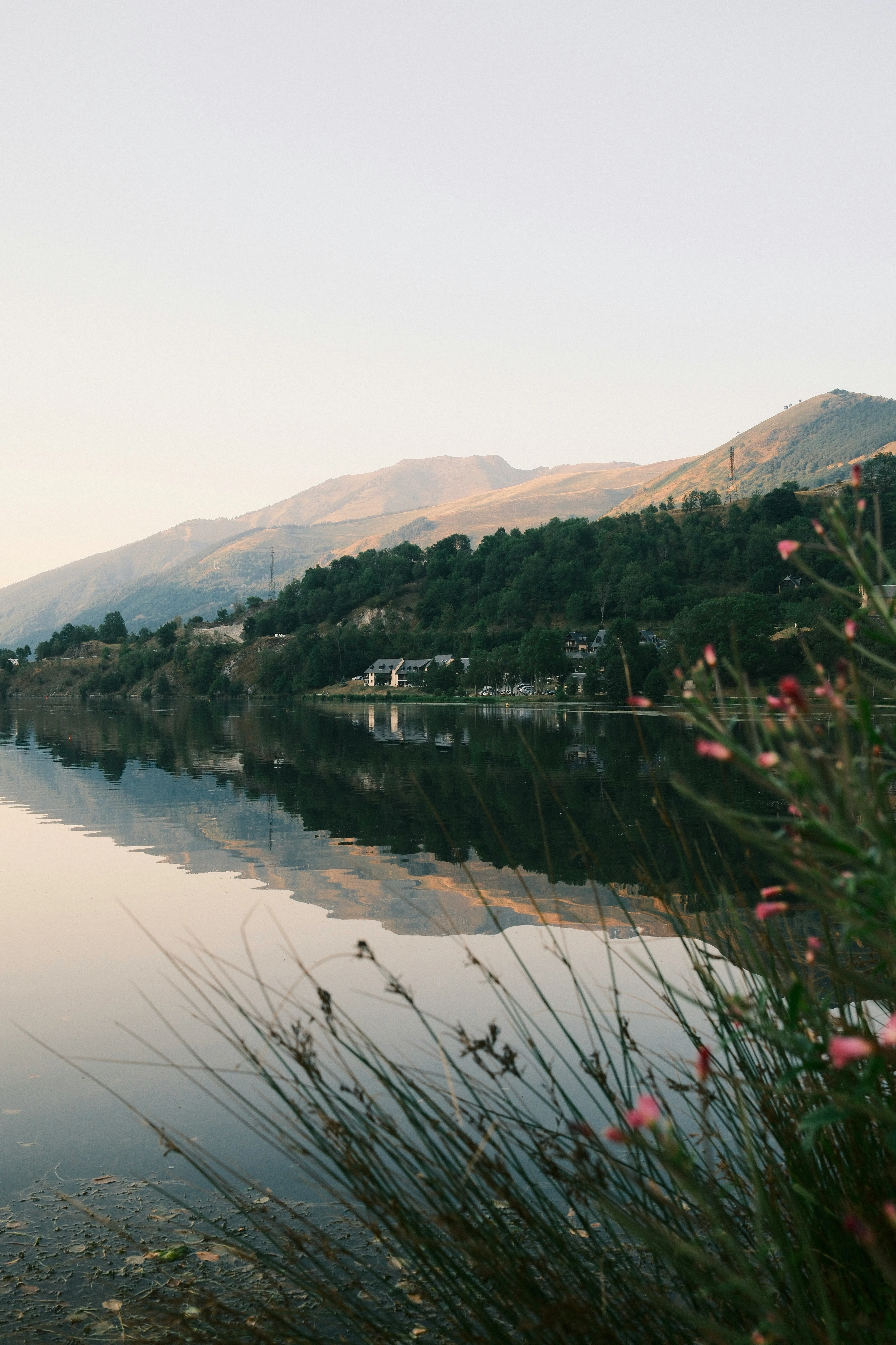 Un lac calme reflète une chaîne de montagnes boisées au coucher du soleil, avec des fleurs roses sauvages en premier plan sur la rive droite.