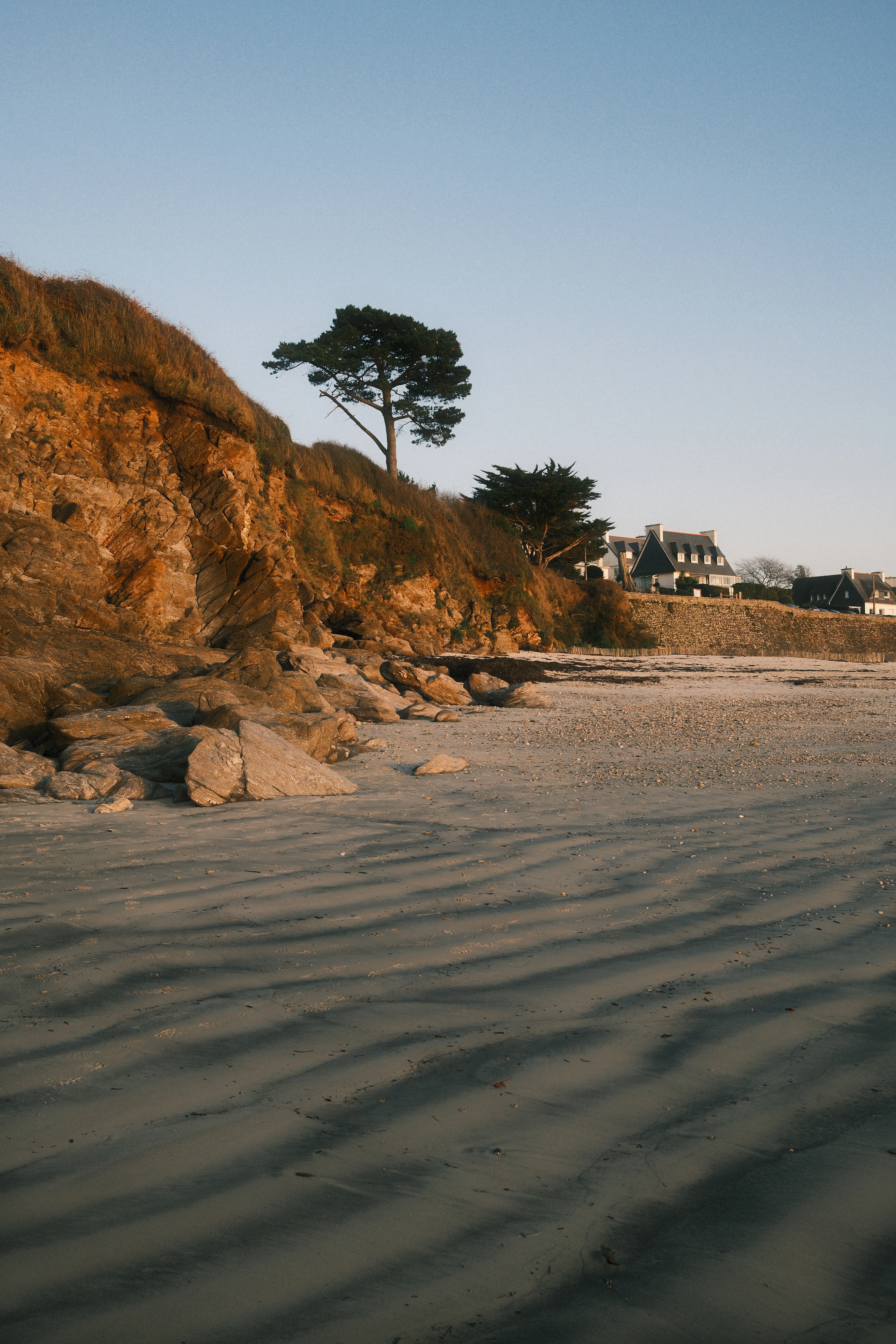 Plage de sable en lumière dorée au coucher du soleil, dominée par une falaise rocheuse ocre surmontée d'un grand pin parasol, avec des maisons bretonnes visibles en arrière-plan