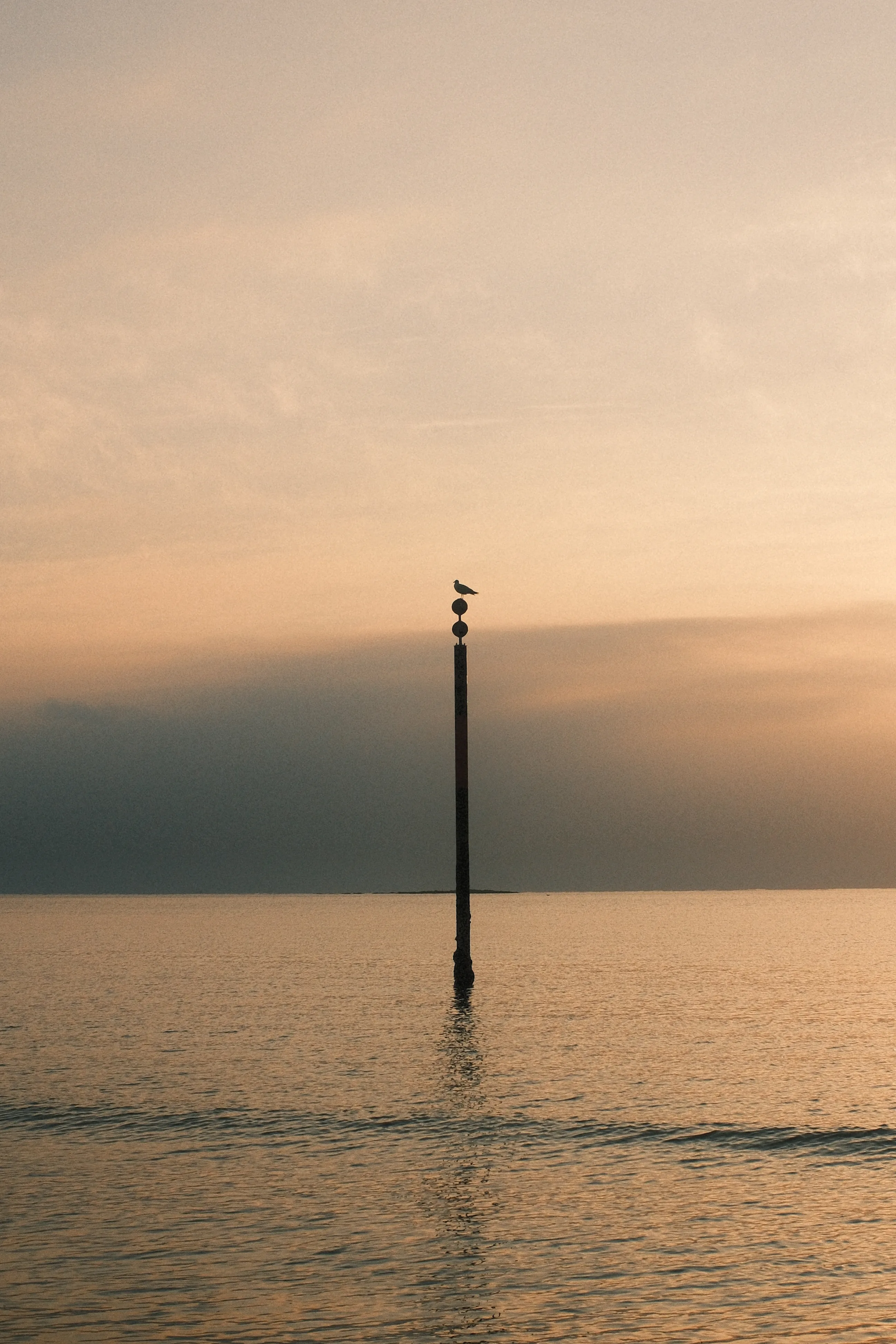 Un piquet de balisage maritime se dresse seul dans une mer calme au coucher du soleil, avec une mouette perchée à son sommet, sur fond de ciel aux teintes dorées et orangées.