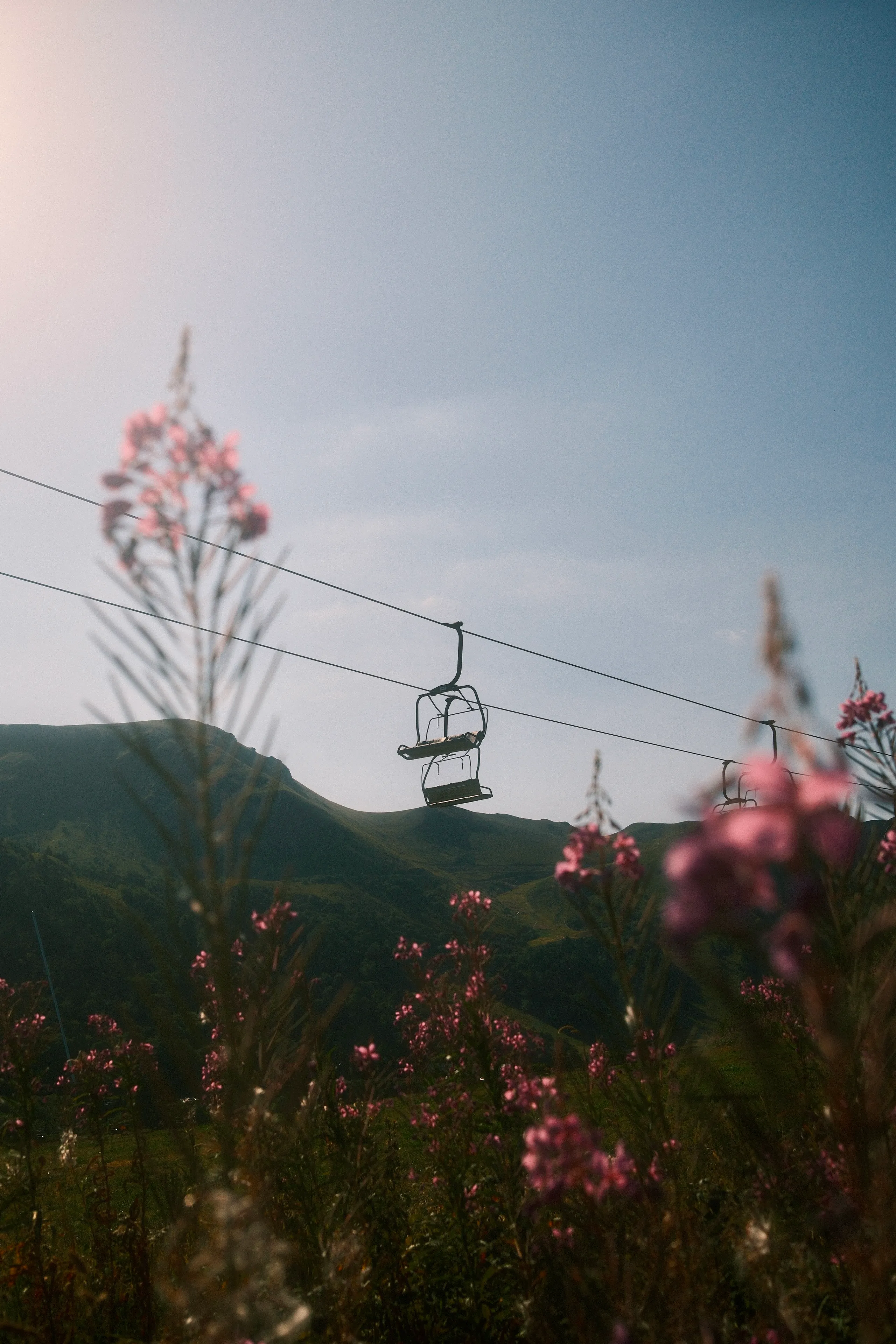 Un télésiège vide suspendu sur un câble survole un paysage de montagne verdoyant, encadré par des fleurs sauvages roses en premier plan sous un ciel bleu lumineux.
